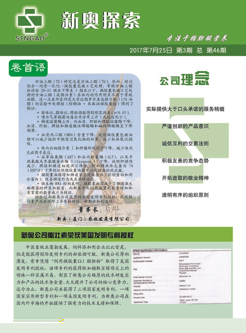 2025新澳精准正版免费大全，详细解答、解释与落实