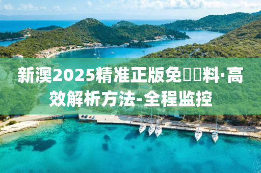 2025新澳精准正版免費資料全面释义、解释与落实