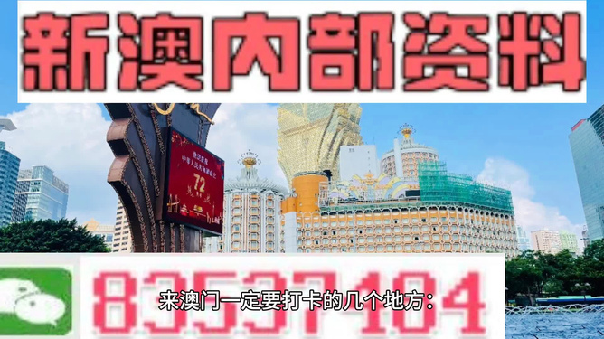 2025新澳正版今晚资料，全面释义、解释与落实